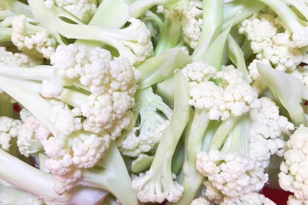 披萨酱炒花椰菜的做法图解1