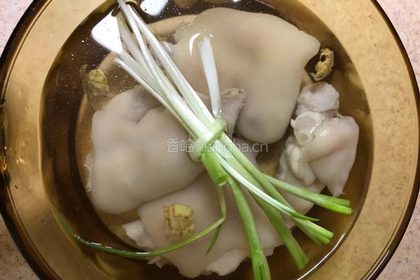 酸辣猪蹄的做法图解3