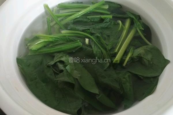 凉拌粉丝菠菜的做法图解5