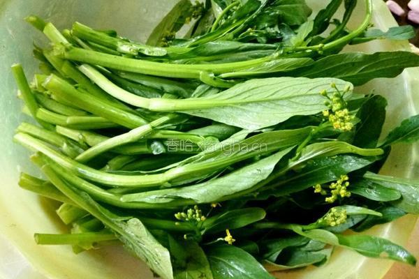 素炒菜心的做法图解1