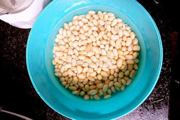 哺乳期催奶豆浆的做法图解2