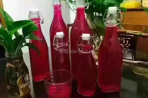 火龙果新酿酵素
