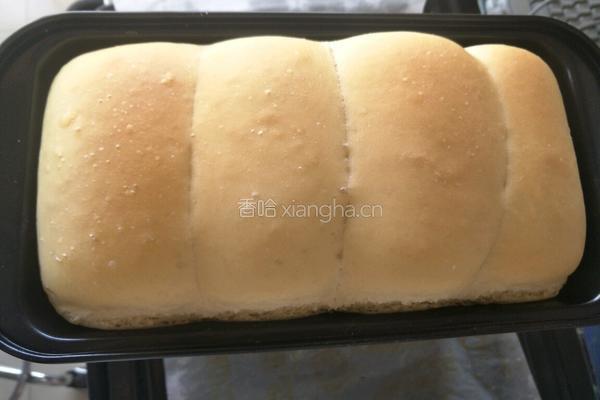 全麦面包的做法图解16
