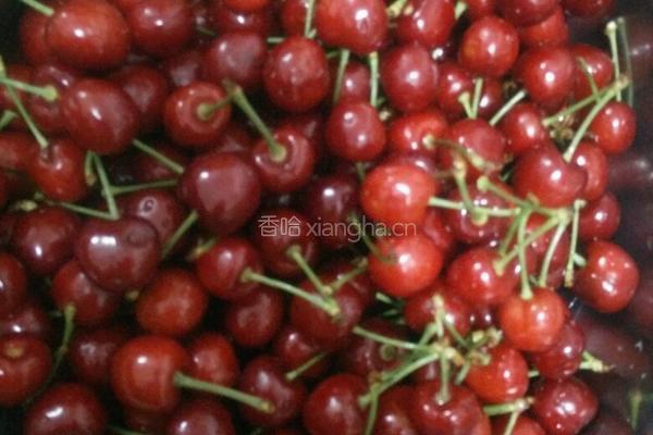 樱桃罐头的做法图解1