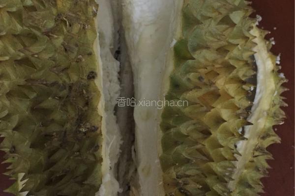 榴莲壳煲鸡的做法图解1
