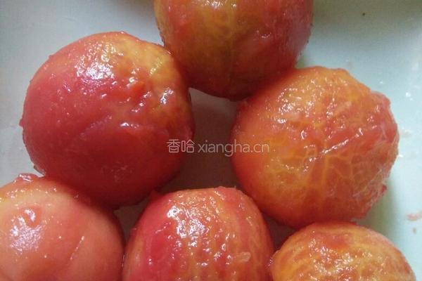 番茄牛肚牛肉的做法图解4
