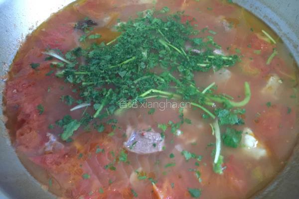 牛肉西红柿汤的做法图解9