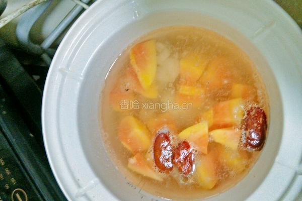木瓜雪耳海底椰炖排骨汤的做法图解3