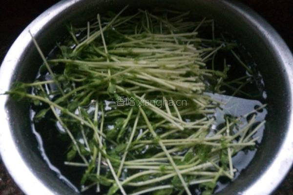 清炒豆苗的做法图解1