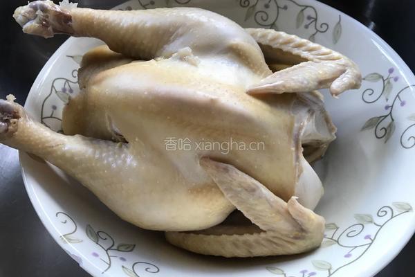 沙姜汁白切鸡的做法图解13