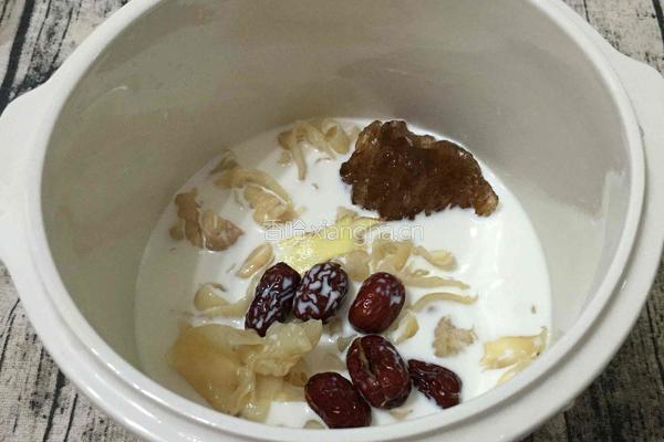 红枣牛奶花胶冻（小清新版本）的做法图解9