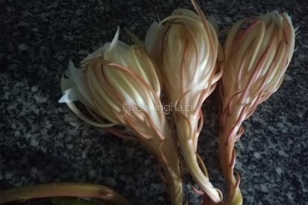 昙花瘦肉汤的做法图解3
