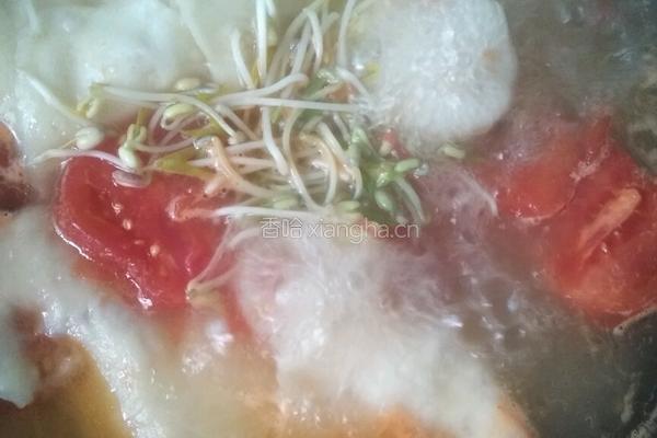 西红柿面片汤的做法图解7