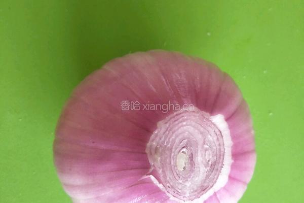洋葱圈的做法图解1