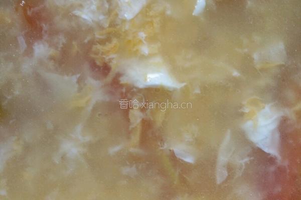 西红柿鸡蛋花汤的做法图解6