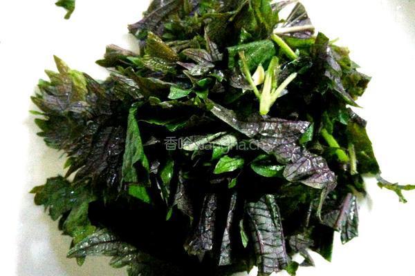 紫苏冬瓜烧鸭肉的做法图解4