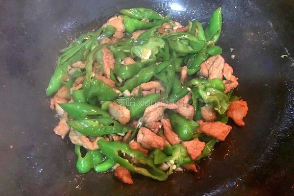 豆豉辣椒炒肉的做法图解8