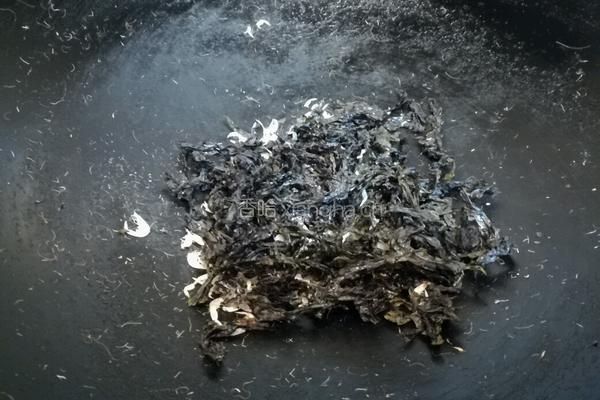 虾米白糖烤紫菜的做法图解4