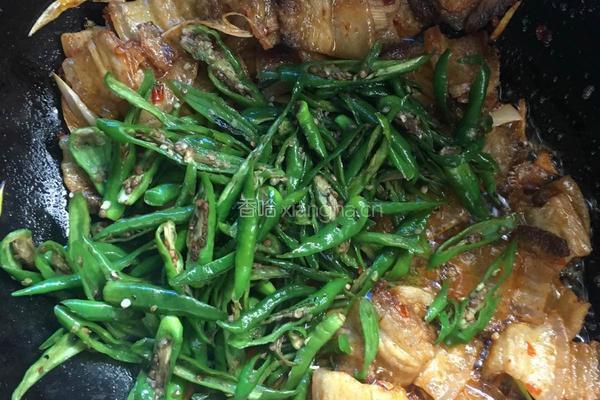 米锅巴回锅肉的做法图解8