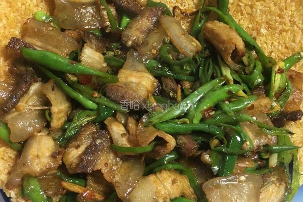 米锅巴回锅肉的做法图解9