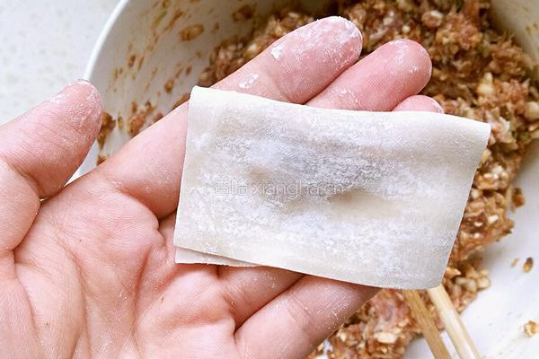 猪肉香菇馅馄饨的做法图解9