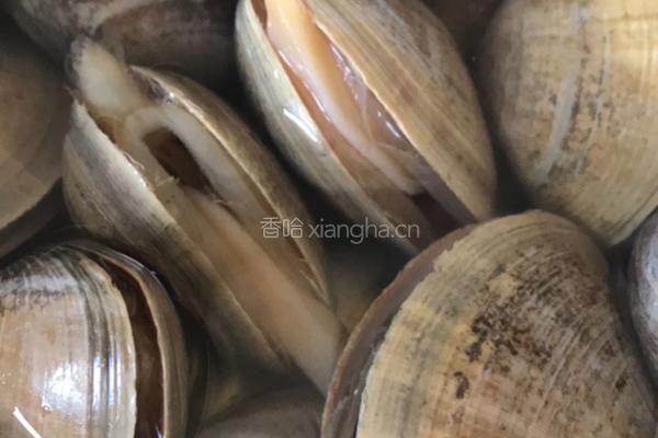 黄蛤粉丝煲的做法图解1