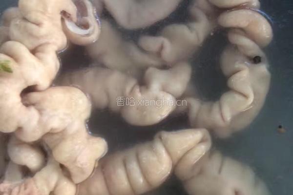 大肠炒豆芽的做法图解4