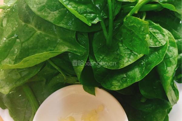 蒜泥木耳菜的做法图解1