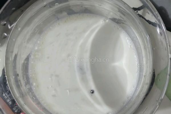 自制葡萄干酸奶的做法图解2