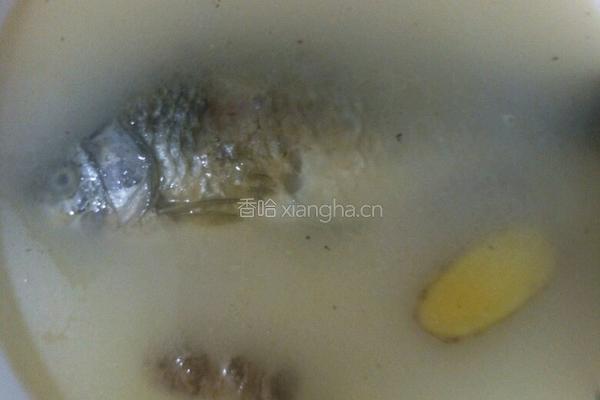 鲫鱼汤