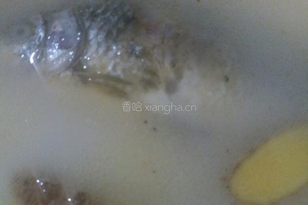 鲫鱼汤的做法图解9