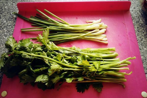牛肉芹菜饺子的做法图解3