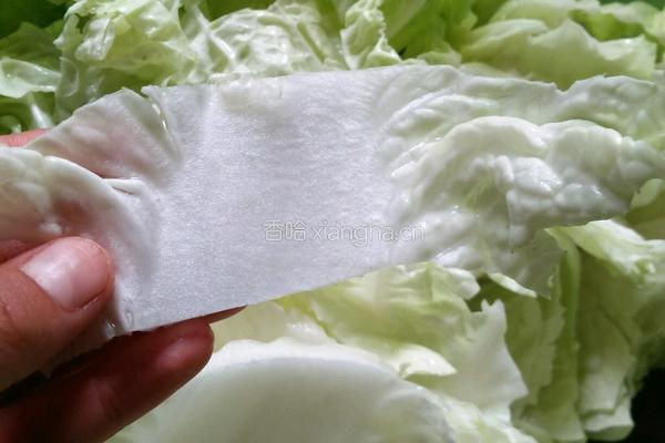 白菜鲜汤的做法图解9