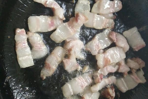 嫩黄豆炒肉的做法图解4