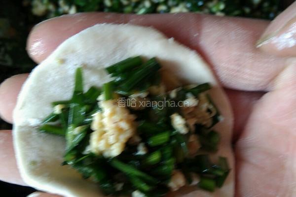 韭菜鸡蛋饺子的做法图解10