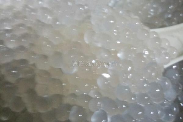 椰奶西米糕的做法图解1