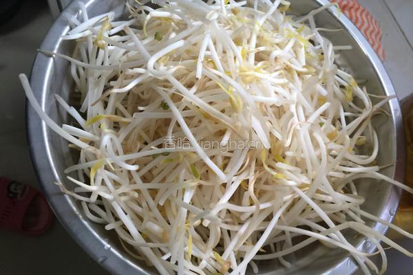 韭菜炒豆芽的做法图解1