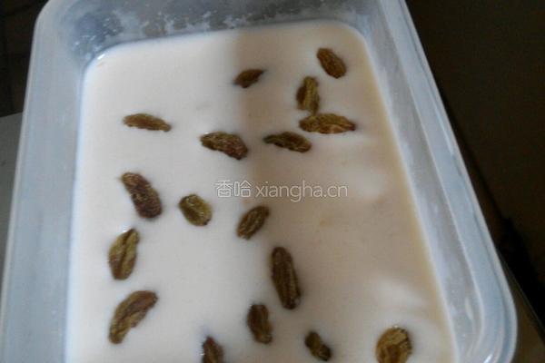 燕麦葡萄干牛奶冻的做法图解5