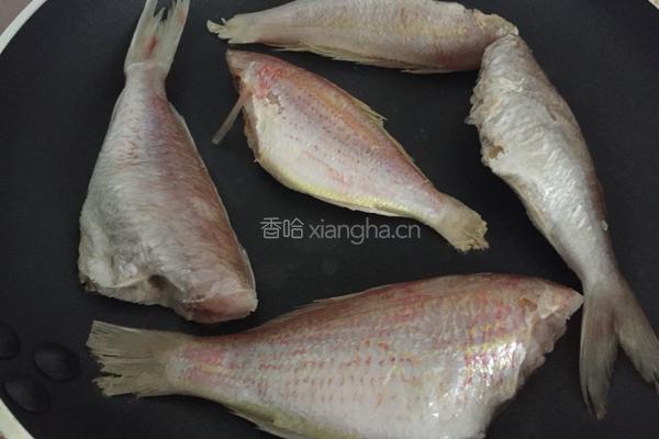 煎红衫鱼的做法图解2