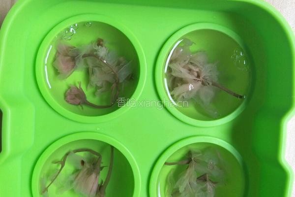 水信玄饼的做法图解4