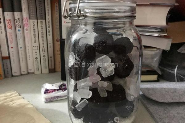 杨梅果酒（无白酒）的做法图解4