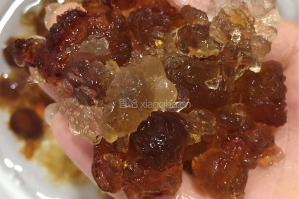 桃胶银耳羹的做法图解5