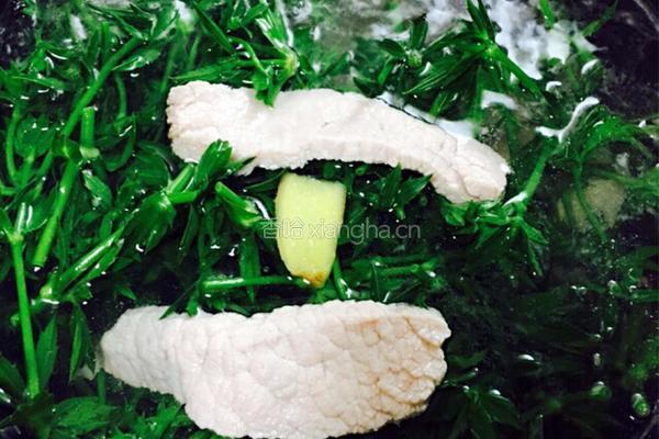刺芹瘦肉汤的做法图解9