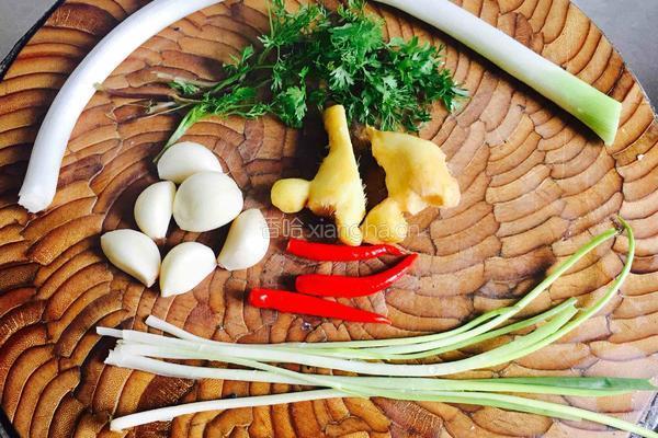 豆腐炖鱼(麻辣版)的做法图解5
