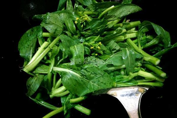菜心炒瘦肉的做法图解6