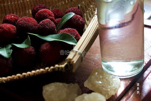 杨梅糖水和杨梅酒的做法图解1