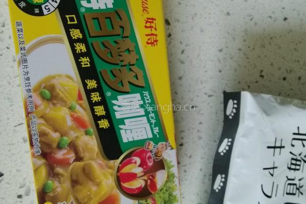 蓝调咖喱鸡肉饭的做法图解4