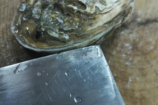 鲍汁焗生蚝的做法图解2