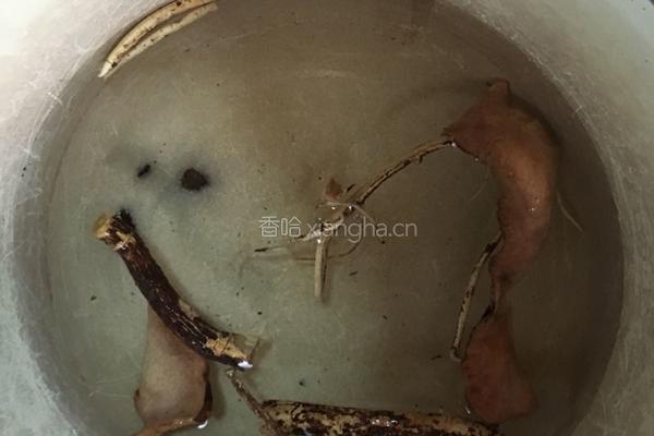 龙骨牛奶根汤的做法图解2