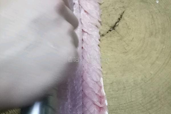 珊湖鱼的做法图解3